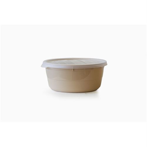 P234385529 CAIXA ALIMENTOS 02 1006-SOLID BEGE 0.7LT