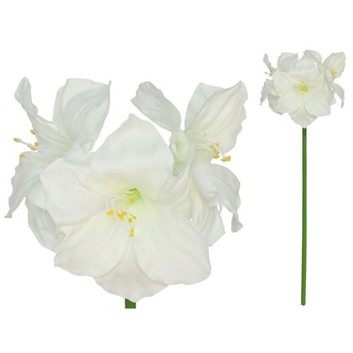 217871 HASTE AMARYLLIS 18.00 X 26.00 X 79.00 CM