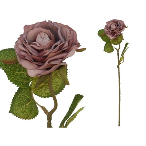 208282 HASTE ROSA SECA 50CM