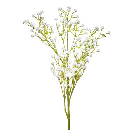 42262 HASTE GYPSOPHILA STEM 66CM
