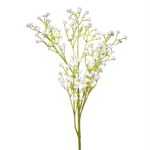 HASTE GYPSOPHILA STEM 66CM