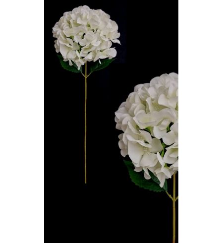 21349002000759 HASTE HORTENSE 60CM