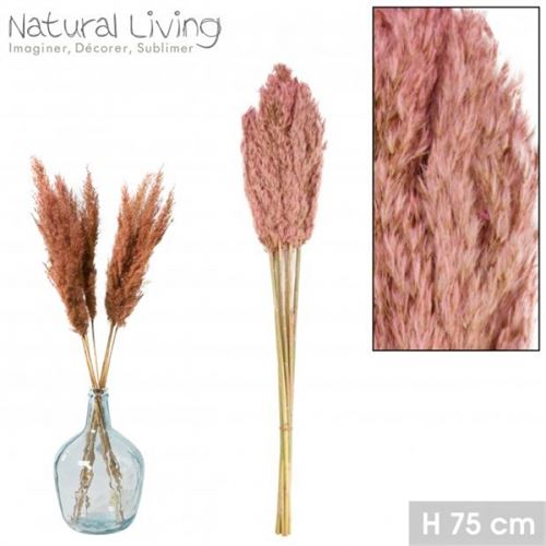 WILD REED PLUME LIGHT PINK X10PCS H75CM