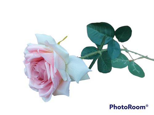 1424 HASTE ROSA ROSA CLARO 75CM
