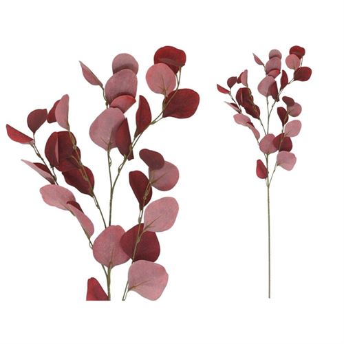 222028 HASTE EUCALIPTO 90CM