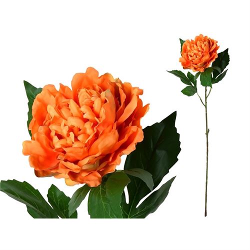 273938 HASTE PEÔNIA -80CM