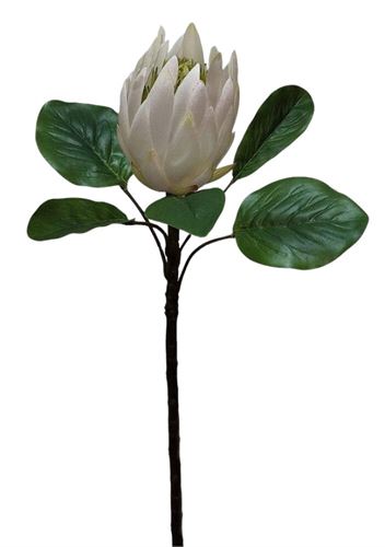 2139200000706 HASTE PROTEA 63CM