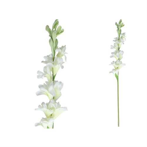 221892 TUBEROSE 60CM
