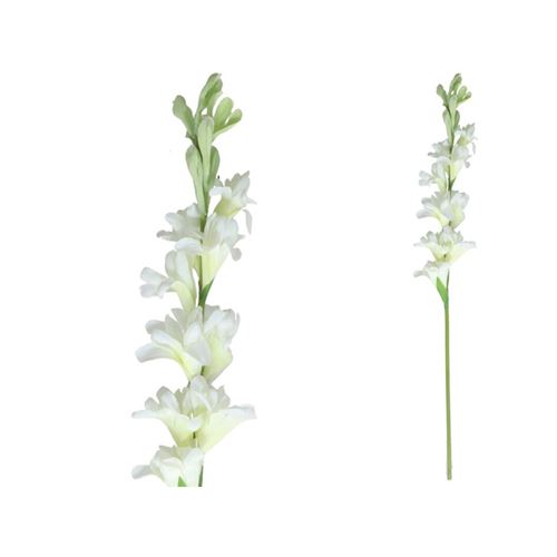 TUBEROSE 60CM