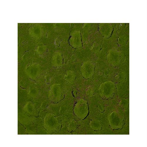 43599 TAPETE MUSGO C 100,00 L 100,00 A 0,00