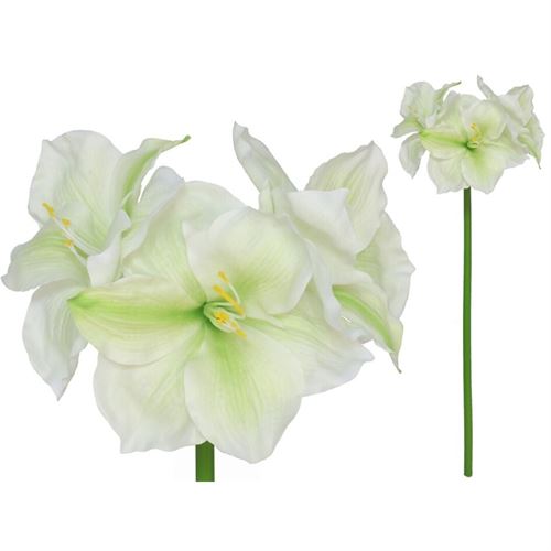 217901 HASTE AMARYLLIS 	18.00 X 26.00 X 79.00 CM