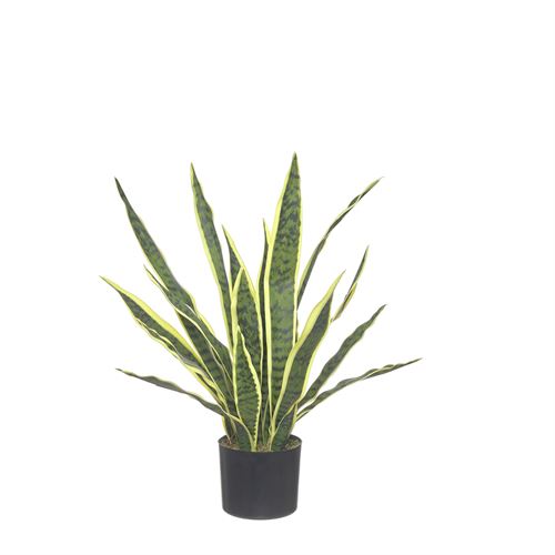 43554 PLANTA ART SNAKE PLANT 60CM