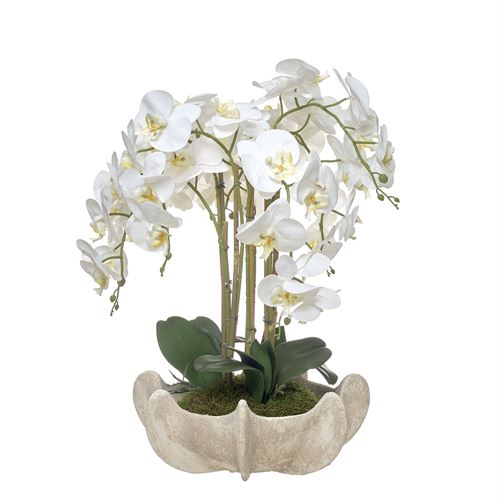 46187 ORQUIDEA 6 CAULES TAÇA FEATHER NUDE 65CM