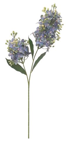 53-IT-7810 HASTE DE FRESIAS 70CM