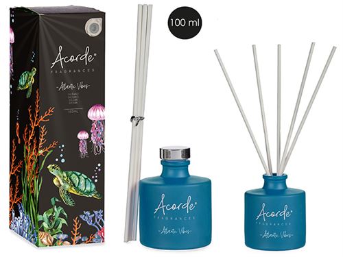 74573 MIKADO 100ML OCEANO