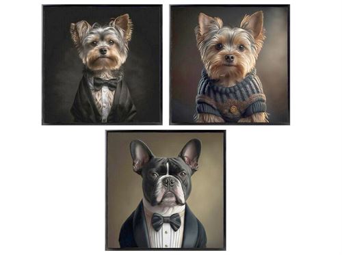 426792 QUADRO DE CÃO 3 SURT 50X50X2,5 CM