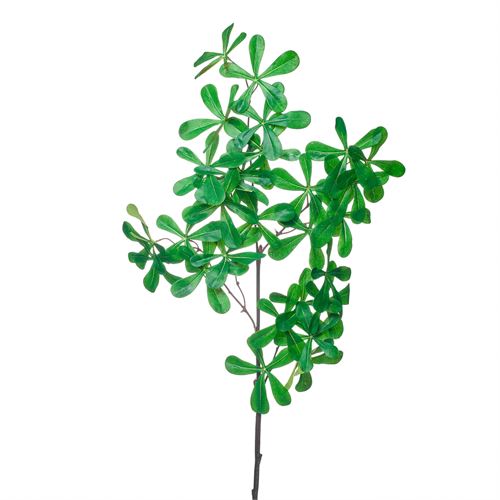 HASTE - SCHEFFLERA SPRAY 97CM