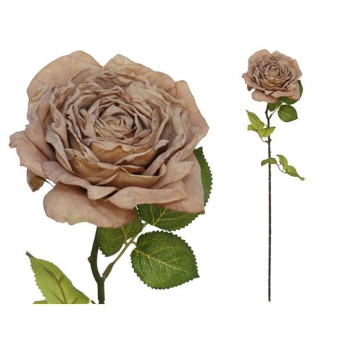 HASTE ROSA SECA 65CM