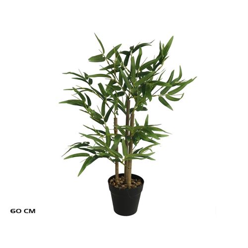 PLANTA BAMBU 60CM