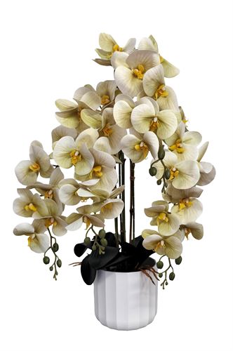 99-IT-1620 VASO DE ORQUIDEA X4 C/70CM