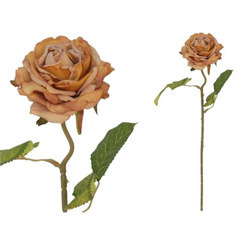 208244 HASTE ROSA SECA 50CM