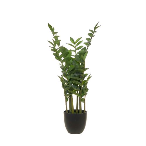 PLANTA ARTIFICIAL ZAMIIFOLIA 140FOLHAS 90CM