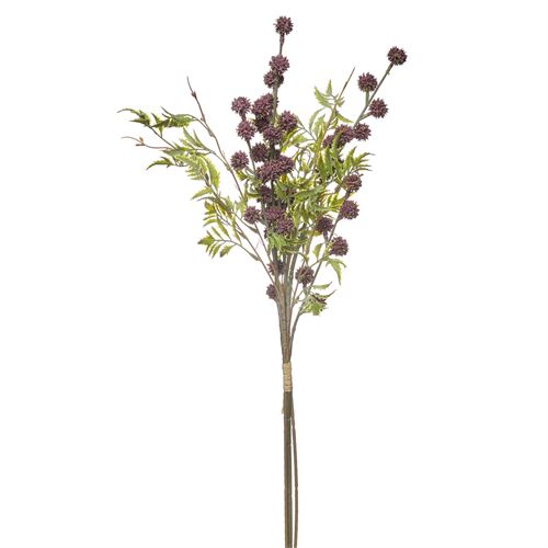 42220 HASTE - FROSTED ERYNGIUM BUNDLE X4 70CM