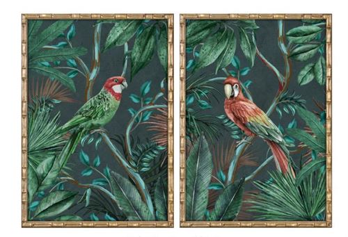 CU-218485 QUADRO VIDRO ABETO 50X2,8X70CM PAPAGAIO 2 SORT