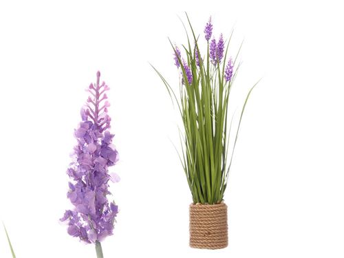 60576 RAMO CORDA LAVANDA SORT 2 CORES 69CM