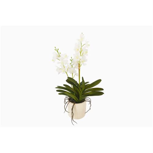 ORQUIDEA BRANCA 34x23x61cm