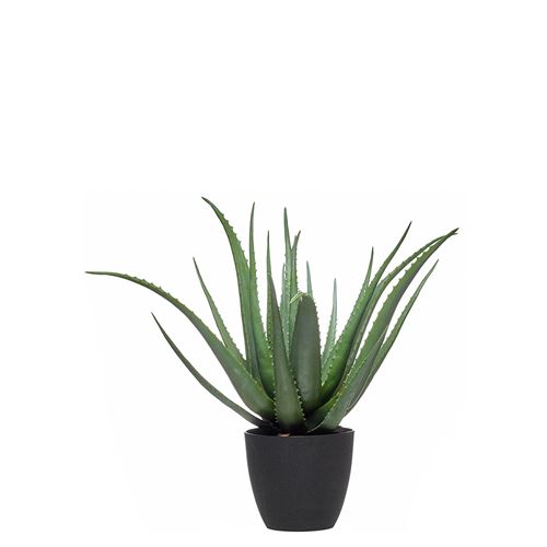 PLANTA ARTIFICIAL ALOES 23FLHS 67CM