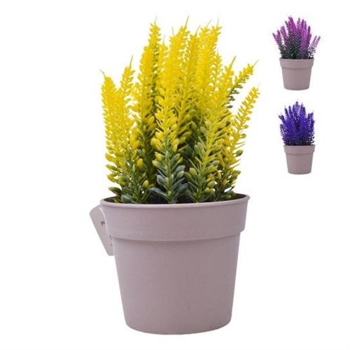 400147 PLANTA C/ VASO 22CM 2440-014