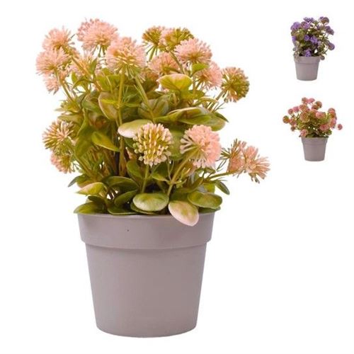 400178 PLANTA C/ VASO 22CM 2440-017