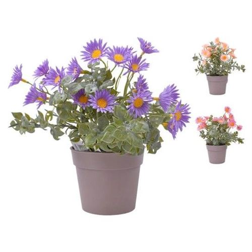 400185 PLANTA C/ VASO 22CM 2440-018