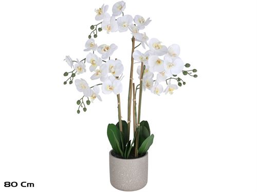 395562 ORQUIDEA VASO 80CM
