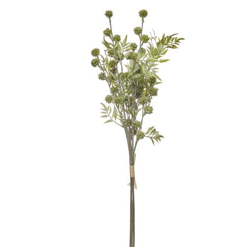 42216 HASTE - FROSTED ERYNGIUM BUNDLE X4 70CM