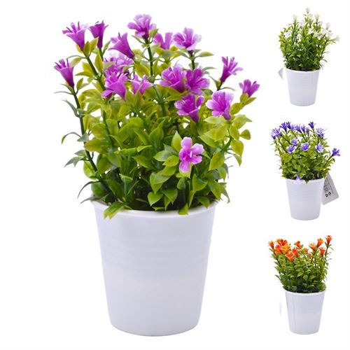 PLANTA C/ VASO 2647-005