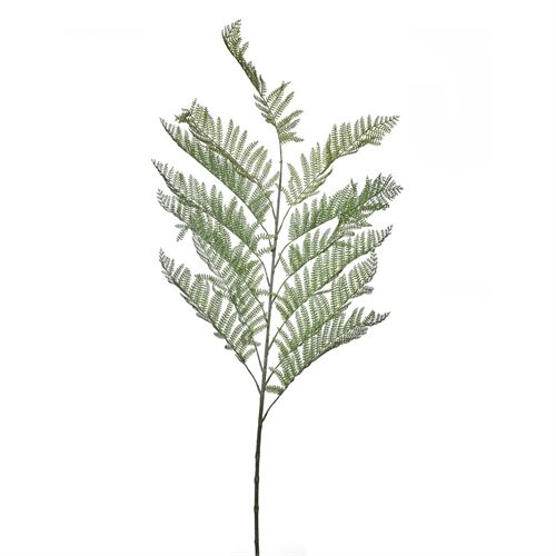 HASTE VERDURA FERN 13VLS 114CM