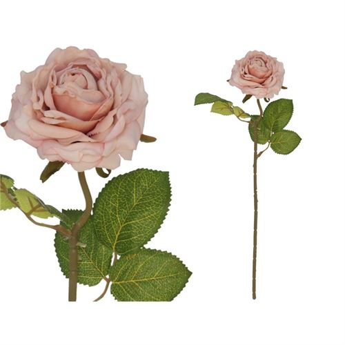 208275 HASTE ROSA SECA 50CM
