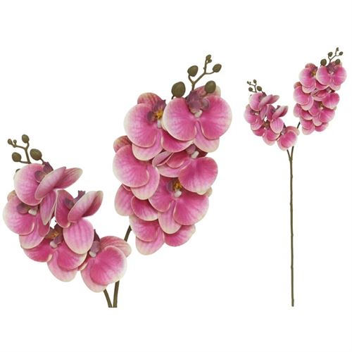 227351 ORQUIDEA X12 TOQUE REAL 76CM
