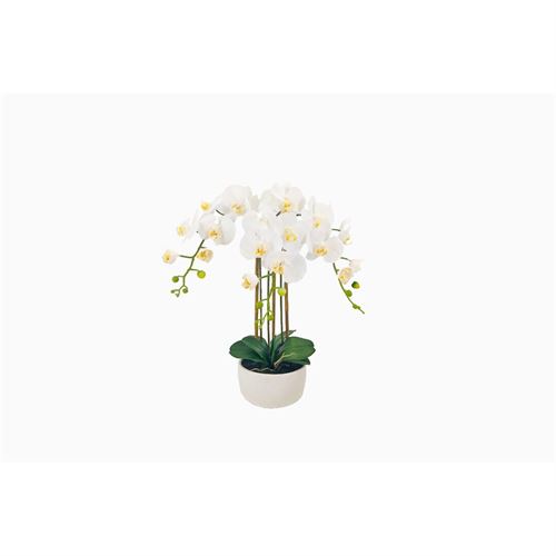 ORQUIDEA BRANCA 45x23x60cm