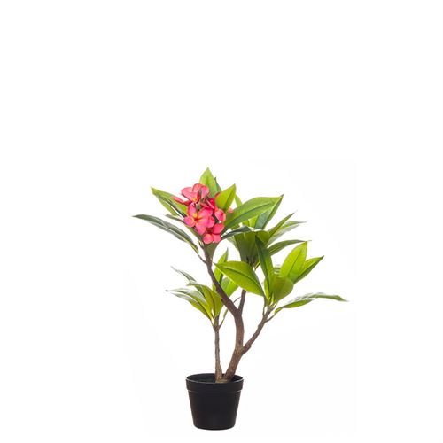 PLANTA ARTIFICIAL - REAL TOUCH FRANGIPAN 60CM