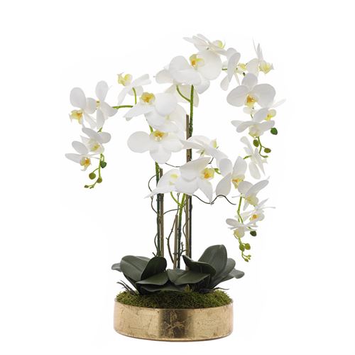 ORQUIDEA 3CAULES TAÇA 16 FOLHA OURO 25X25X70