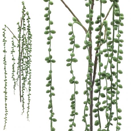 2414 SENECIO 110CM