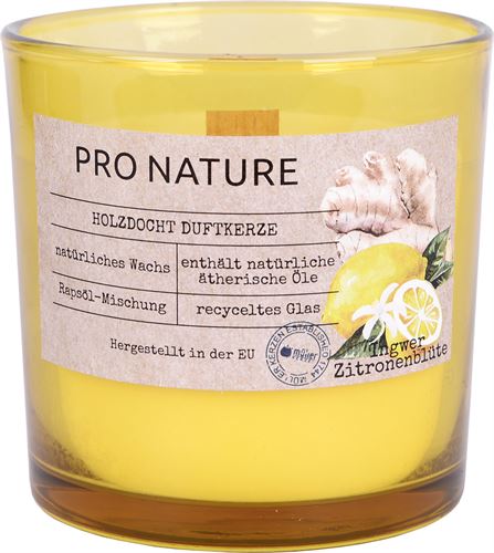 COPO AROMATICO PRO NATURE GENGIBRE E LIMAO 10X10