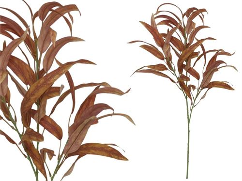222080 HASTE EUCALIPTO 78CM