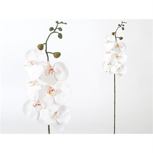 HASTE ORQUIDEA 76CM