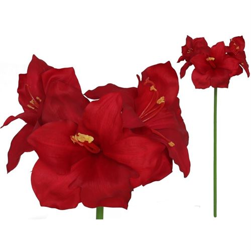 217888 HASTE AMARYLLIS 18.00 X 26.00 X 79.00 CM