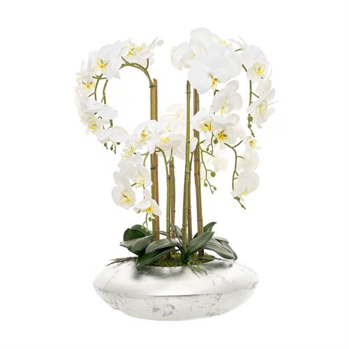 46145 ORQUIDEA 6 CAULES TAÇA OVNI FOLHA PRATA