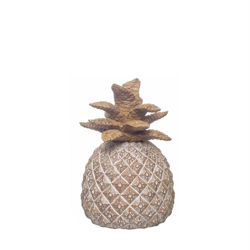 86326 ANANAS POLIRESINA C 16,00 L 15,00 A 22,50